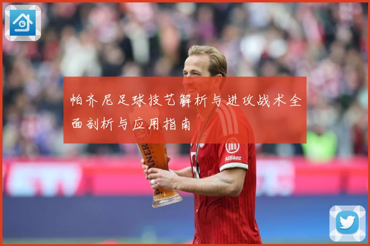 帕齐尼足球技艺解析与进攻战术全面剖析与应用指南