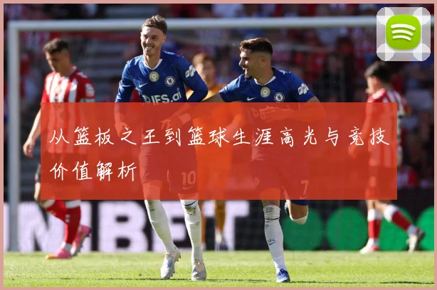 从篮板之王到篮球生涯高光与竞技价值解析