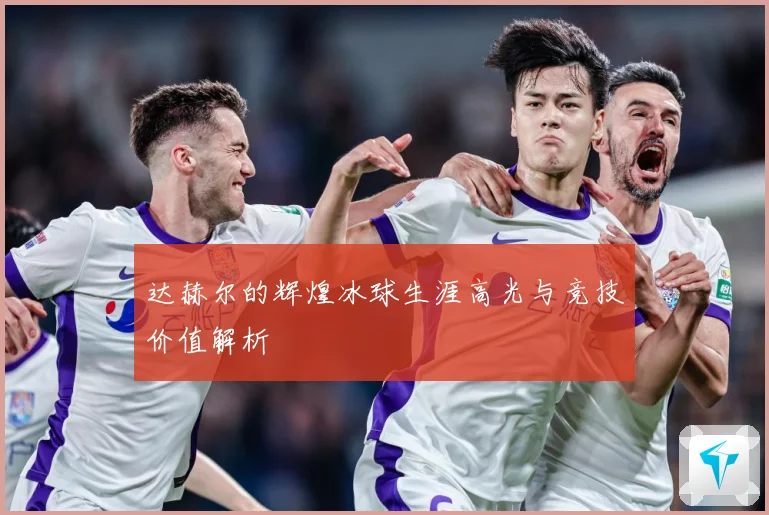 达赫尔的辉煌冰球生涯高光与竞技价值解析