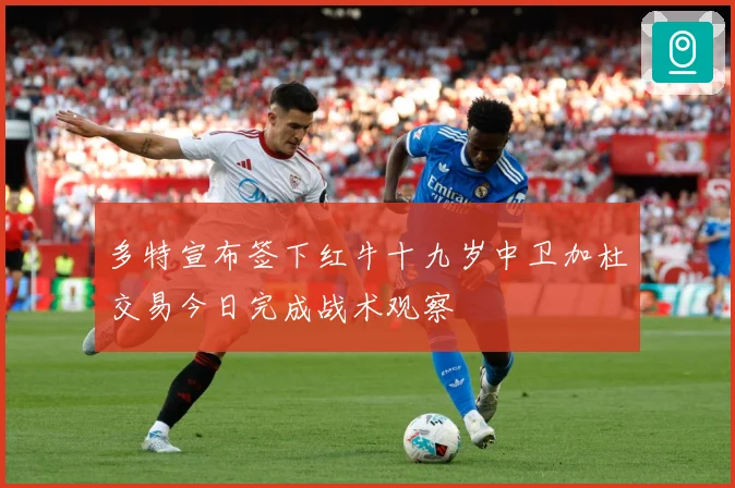 多特宣布签下红牛十九岁中卫加杜交易今日完成战术观察